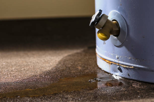 Best Residential water damage restoration  in Womelsdorf, PA