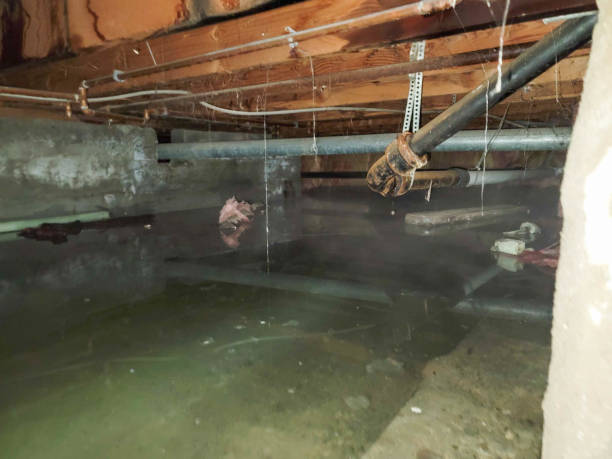 Best Water damage restoration cost  in Womelsdorf, PA