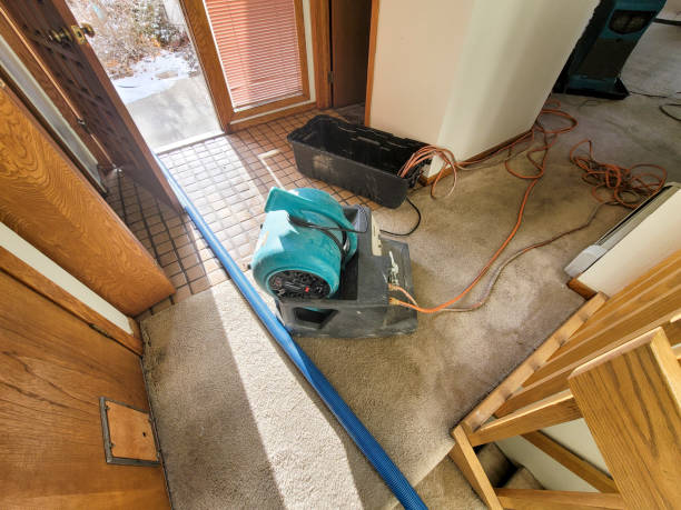 Trusted Womelsdorf, PA Water damage restoration Experts