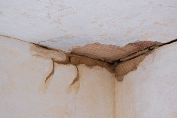 Womelsdorf, PA Water damage restoration Company