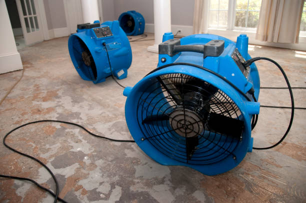 Best Water damage mitigation services  in Womelsdorf, PA