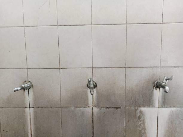 Best Basement water damage restoration  in Womelsdorf, PA