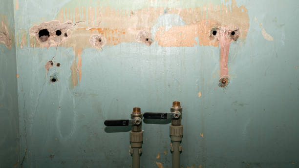 Best Water damage restoration cost  in Womelsdorf, PA
