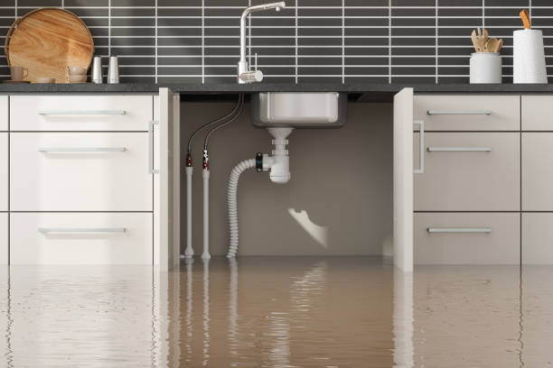 Best Carpet water damage restoration  in Womelsdorf, PA
