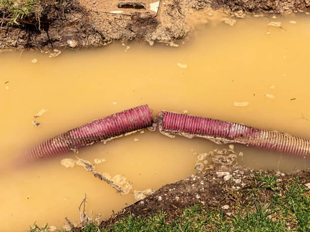 Best Local water damage restoration  in Womelsdorf, PA