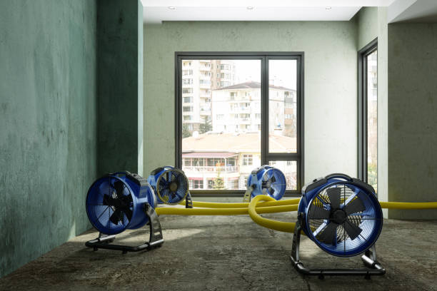 Best Water damage contractors near me  in Womelsdorf, PA
