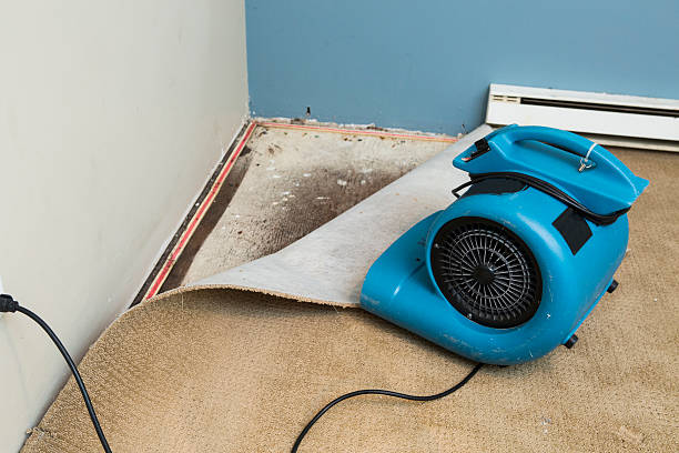 Best Ceiling water damage repair  in Womelsdorf, PA
